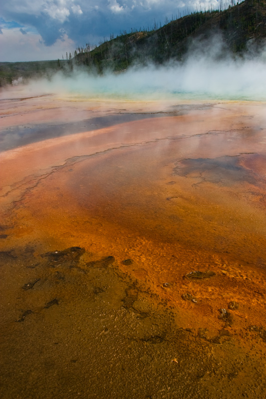 Grand Prismatic Spring